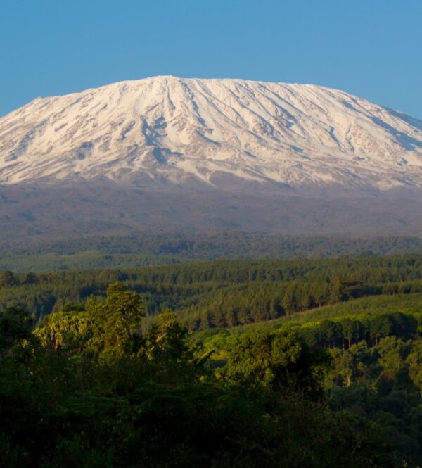 Kilimanjaro, Tanzania, geographical, political and touristic aspects