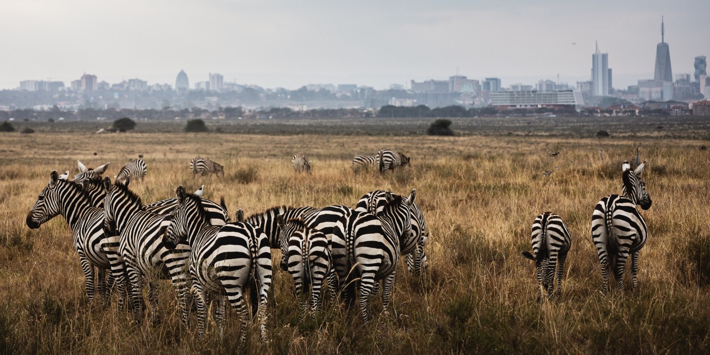 Organized Visits to Nairobi National Parc, Nairobi, Kenya