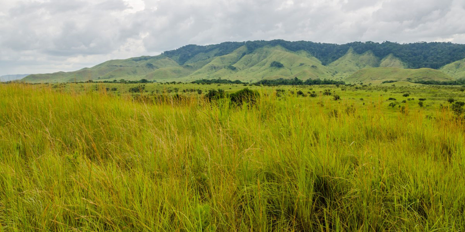 Republic of Congo