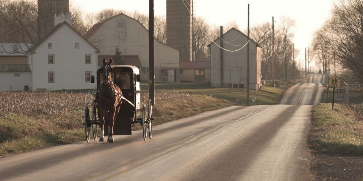 Niagara & Toronto & Washington & Amish Country & Philadelphia Tour - Amish horse and buggy, sepia tone