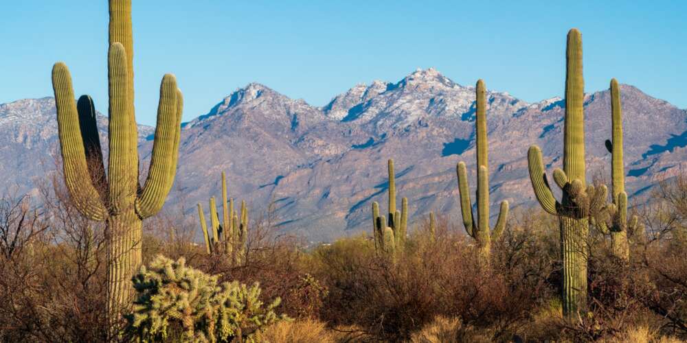 Exploring the National Parks of the United States