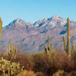 Exploring the National Parks of the United States