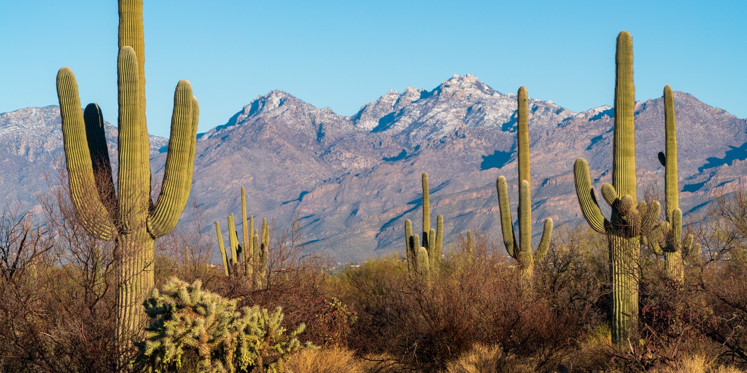 Exploring the National Parks of the United States