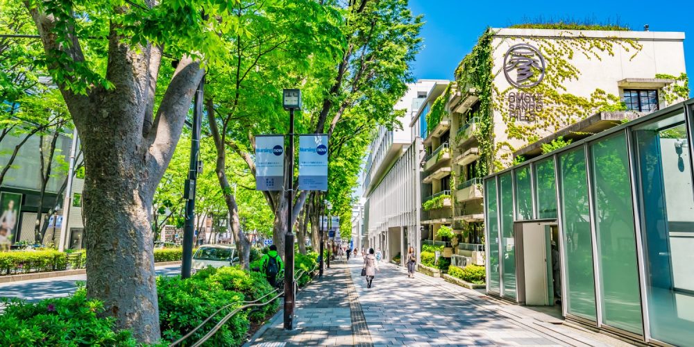 Omotesando Avenue, the most fashionable street in Tokyo
