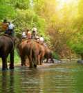 Adventure in Thailand