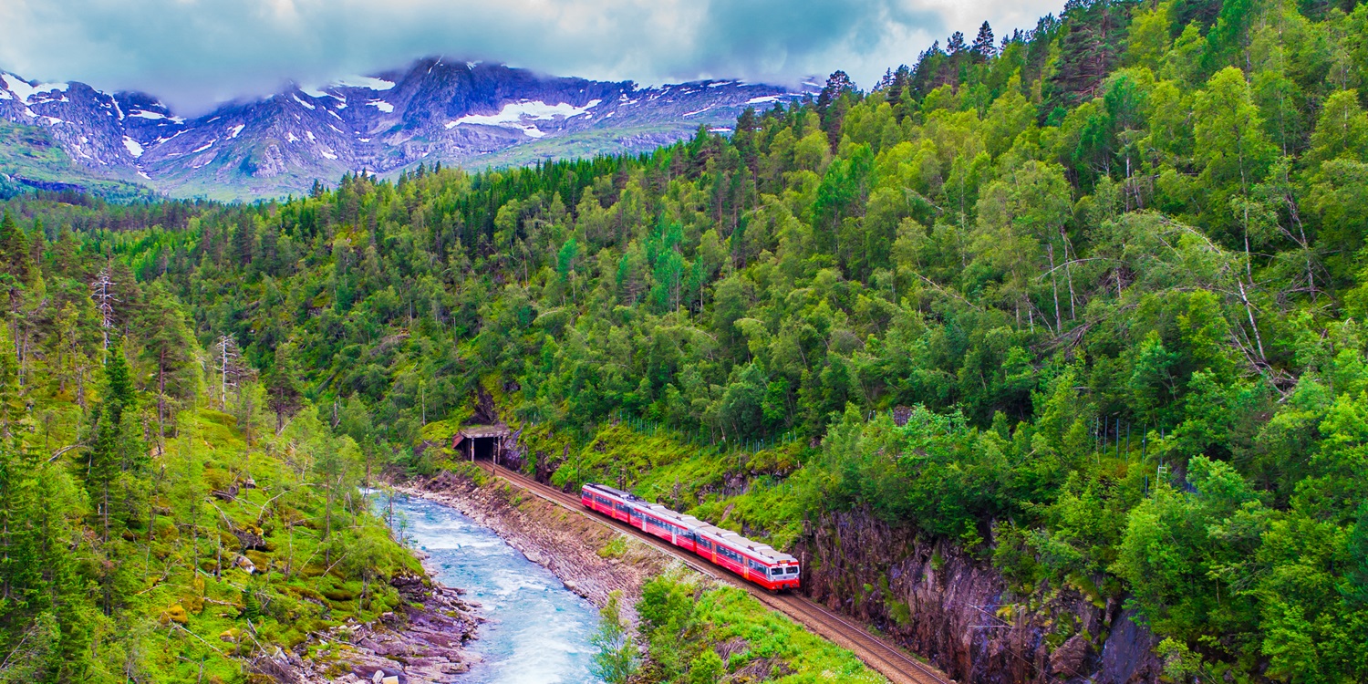 Train Oslo - Bergen in mountains. Norway.