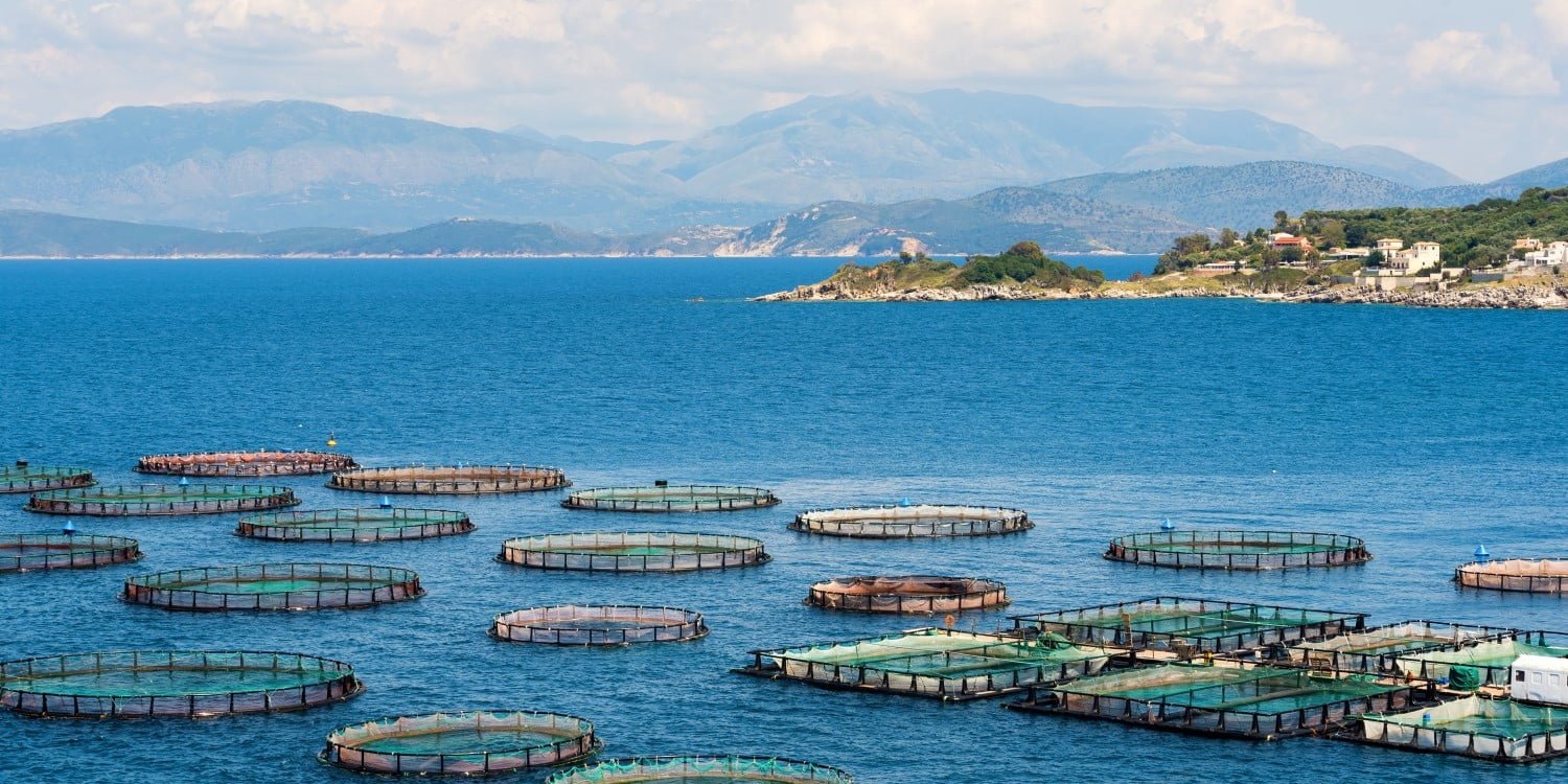 Corfu salmon fish farm