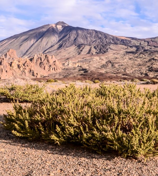 Tenerife’s world of volcanoes – 9 days for € 1200!