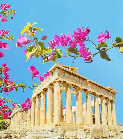 parthenon in athens greece with bougainvillea flowers