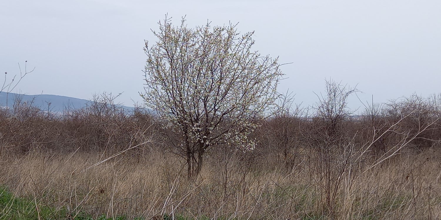 Sunny Beach, Bulgaria, best walking routes and nature exploration in the environments