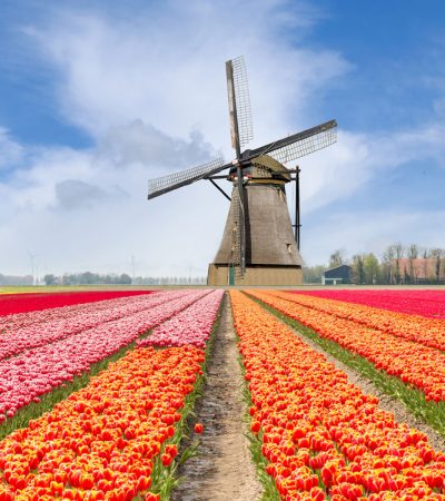 Audio Guides Netherlands