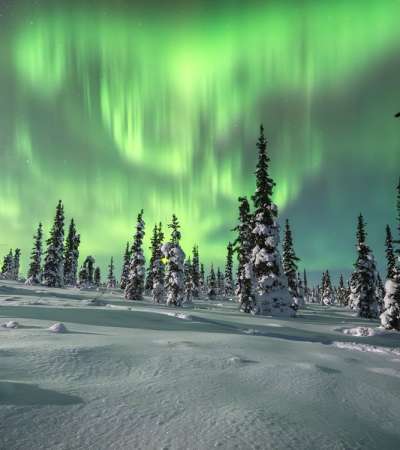 This was shot on a very cold night near Glacier View, Alaska. A beautiful display of aurora that I had all to myself. I did not see a single person where I was at the whole night. Very peacful.