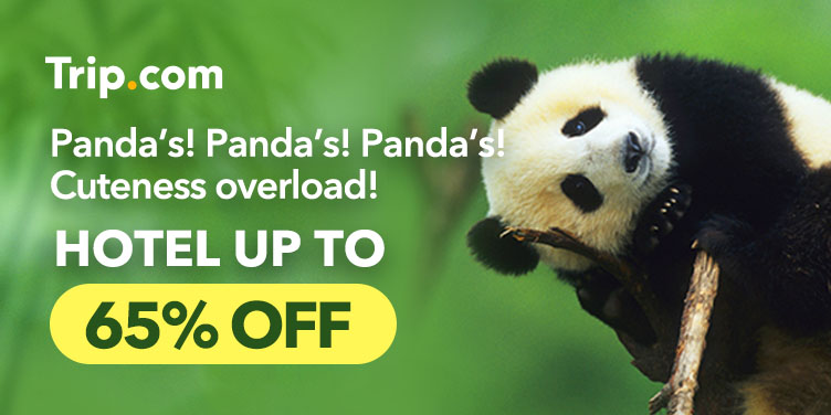 Panda’s! Panda’s! Panda’s! HOTEL UP TO 65% OFF