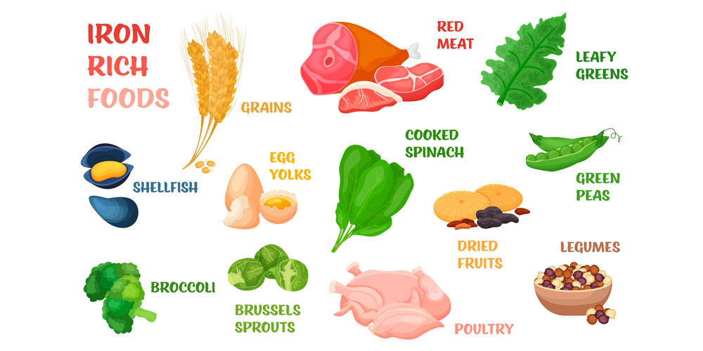 Het belang van ijzer in de voeding