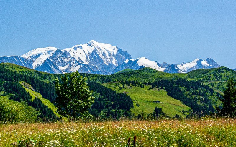 View of Mont Blanc in the background with a view of the Sezenale field